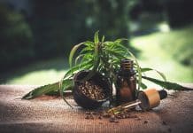 Le CBD et la douleur articulaire