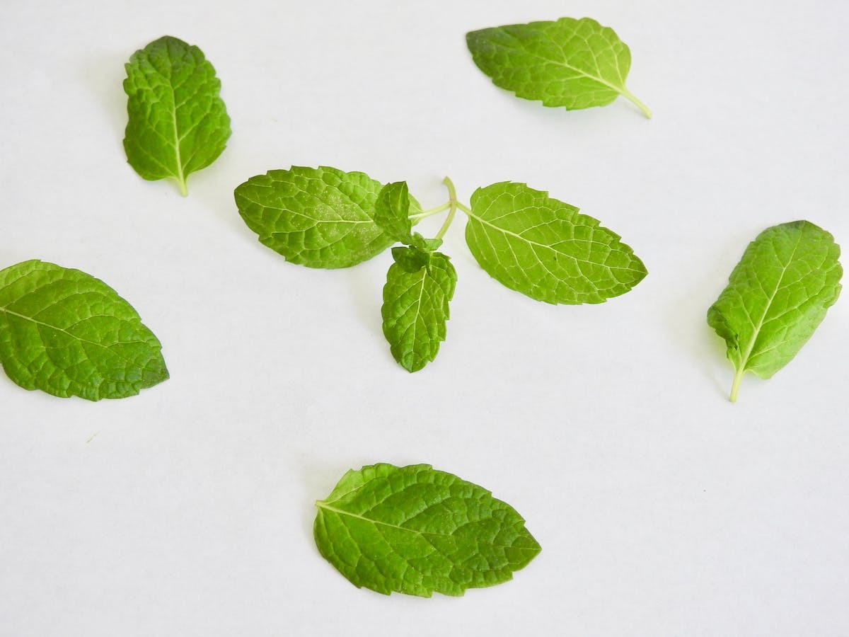 cigarette électronique  saveurs