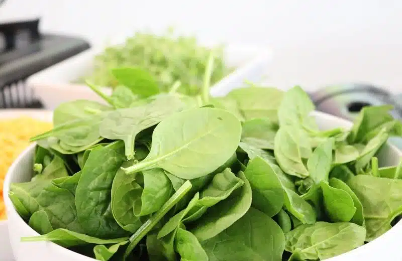 Alimentation saine pendant la grossesse : Guide de conseils et recommandations pour une nutrition équilibrée