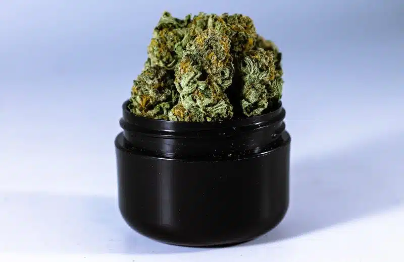 Les effets relaxants du plant CBD sur le système nerveux