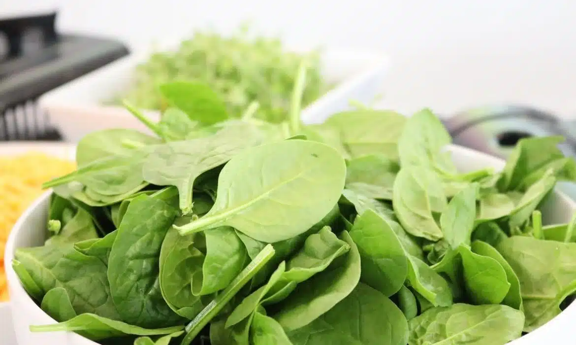 Alimentation et nutrition optimales pour une grossesse en bonne santé
