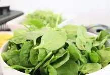 Alimentation et nutrition optimales pour une grossesse en bonne santé