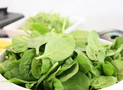 Alimentation et nutrition optimales pour une grossesse en bonne santé