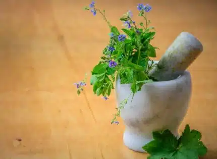 Les solutions naturelles les plus efficaces pour soulager les migraines