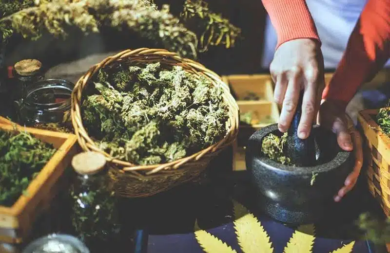 Analyse détaillée des effets et avantages potentiels des cannabinoïdes rares