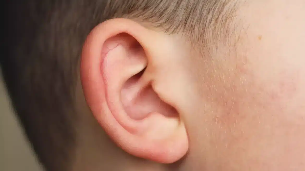Tout ce que vous devez savoir sur le bouton sur le lobe de l