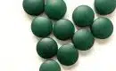 Spiruline : bienfaits et vertus de cette algue bleue