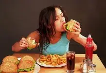 Quels sont les aliments les plus riches en cholestérol ?